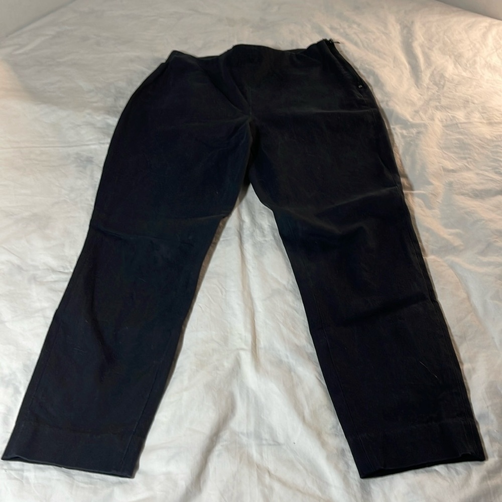 Everlane Crop Slim Crop Slacks With Side Zip